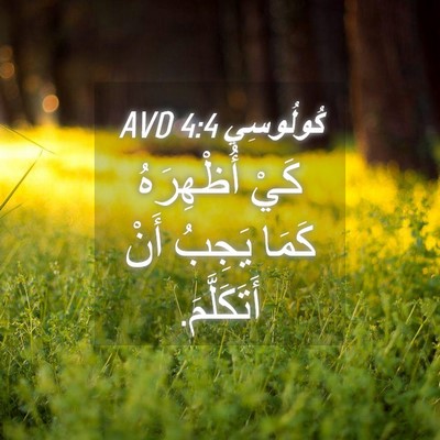 Picture 04 - كُولُوسِي 4:4 AVD - كَيْ أُظْهِرَهُ كَمَا - Bible Verse Picture