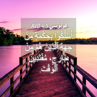 Picture 04 - كُولُوسِي 4:5 AVD - اُسْلُكُوا بِحِكْمَةٍ - Bible Verse Picture