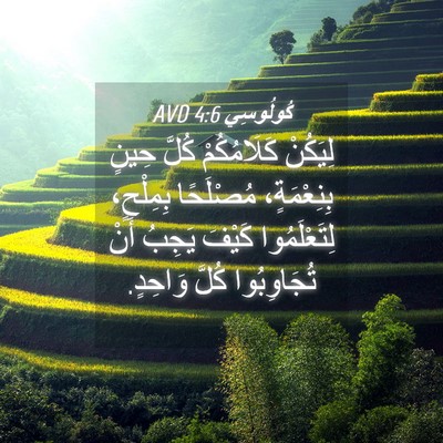 Picture 04 - كُولُوسِي 4:6 AVD - لِيَكُنْ كَلَامُكُمْ - Bible Verse Picture