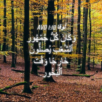 Picture 04 - لُوقا 1:10 AVD - وَكَانَ كُلُّ جُمْهُورِ - Bible Verse Picture