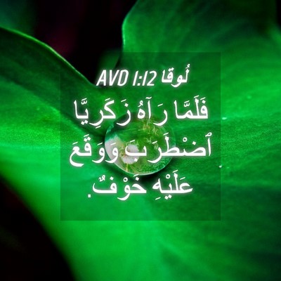 Picture 04 - لُوقا 1:12 AVD - فَلَمَّا رَآهُ زَكَرِيَّا - Bible Verse Picture