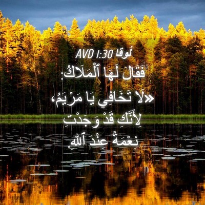 Picture 04 - لُوقا 1:30 AVD - فَقَالَ لَهَا ٱلْمَلَاكُ: - Bible Verse Picture