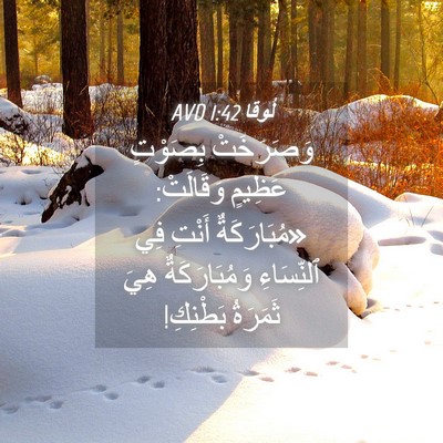 Picture 04 - لُوقا 1:42 AVD - وَصَرَخَتْ بِصَوْتٍ - Bible Verse Picture
