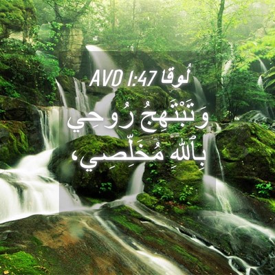 Picture 04 - لُوقا 1:47 AVD - وَتَبْتَهِجُ رُوحِي - Bible Verse Picture