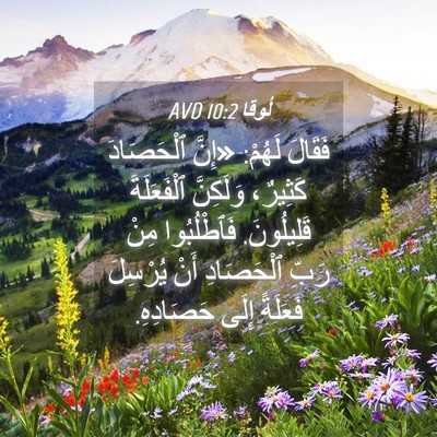Picture 04 - لُوقا 10:2 AVD - فَقَالَ لَهُمْ: «إِنَّ - Bible Verse Picture