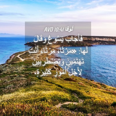 Picture 04 - لُوقا 10:41 AVD - فَأَجَابَ يَسُوعُ وَقَالَ - Bible Verse Picture