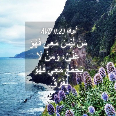 Picture 04 - لُوقا 11:23 AVD - مَنْ لَيْسَ مَعِي فَهُوَ - Bible Verse Picture