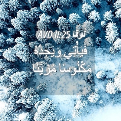 Picture 04 - لُوقا 11:25 AVD - فَيَأْتِي وَيَجِدُهُ - Bible Verse Picture
