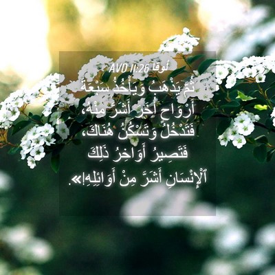 Picture 04 - لُوقا 11:26 AVD - ثُمَّ يَذْهَبُ وَيَأْخُذُ - Bible Verse Picture