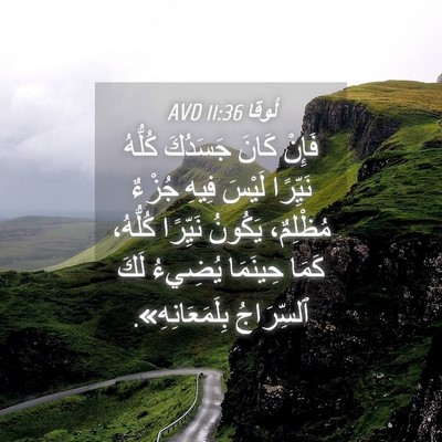 Picture 04 - لُوقا 11:36 AVD - فَإِنْ كَانَ جَسَدُكَ - Bible Verse Picture