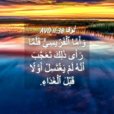 Picture 04 - لُوقا 11:38 AVD - وَأَمَّا ٱلْفَرِّيسِيُّ - Bible Verse Picture
