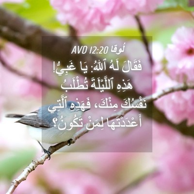 Picture 04 - لُوقا 12:20 AVD - فَقَالَ لَهُ ٱللهُ: يَا - Bible Verse Picture