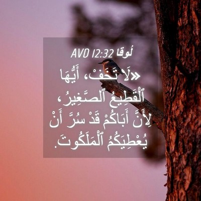 Picture 04 - لُوقا 12:32 AVD - «لَا تَخَفْ، أَيُّهَا - Bible Verse Picture