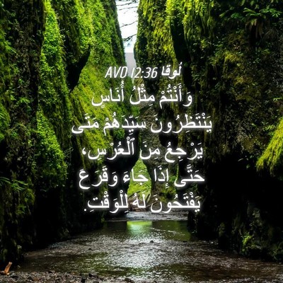 Picture 04 - لُوقا 12:36 AVD - وَأَنْتُمْ مِثْلُ أُنَاسٍ - Bible Verse Picture