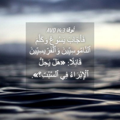 Picture 04 - لُوقا 14:3 AVD - فَأَجَابَ يَسُوعُ - Bible Verse Picture
