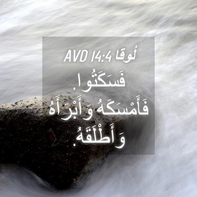 Picture 04 - لُوقا 14:4 AVD - فَسَكَتُوا. فَأَمْسَكَهُ - Bible Verse Picture