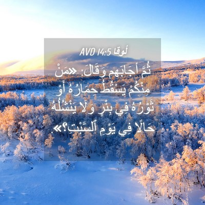 Picture 04 - لُوقا 14:5 AVD - ثُمَّ أجَابَهم وَقَالَ: - Bible Verse Picture