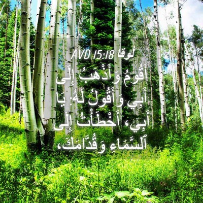 Picture 04 - لُوقا 15:18 AVD - أَقُومُ وَأَذْهَبُ إِلَى - Bible Verse Picture