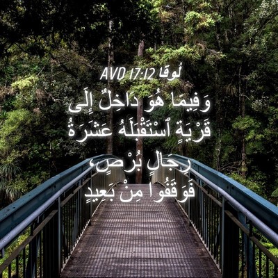 Picture 04 - لُوقا 17:12 AVD - وَفِيمَا هُوَ دَاخِلٌ - Bible Verse Picture