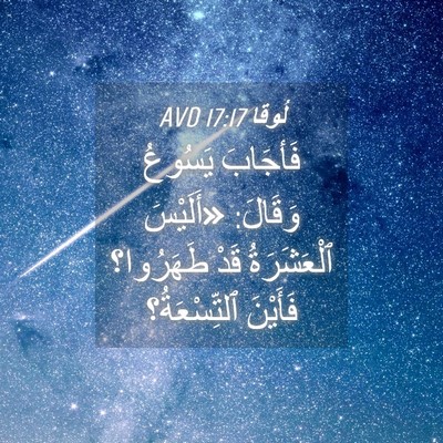 Picture 04 - لُوقا 17:17 AVD - فَأجَابَ يَسُوعُ وَقَالَ: - Bible Verse Picture