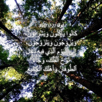 Picture 04 - لُوقا 17:27 AVD - كَانُوا يَأْكُلُونَ - Bible Verse Picture