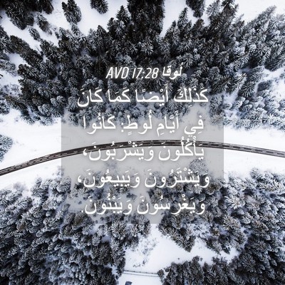 Picture 04 - لُوقا 17:28 AVD - كَذَلِكَ أَيْضًا كَمَا - Bible Verse Picture