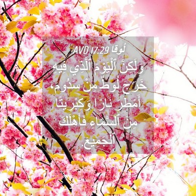 Picture 04 - لُوقا 17:29 AVD - وَلَكِنَّ ٱلْيَوْمَ - Bible Verse Picture
