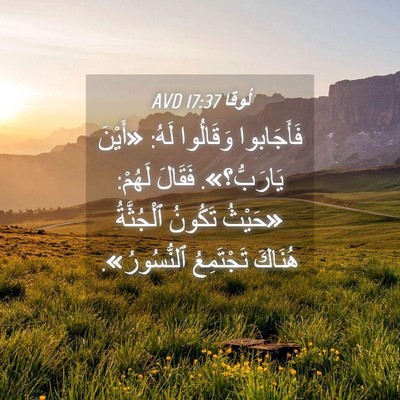 Picture 04 - لُوقا 17:37 AVD - فَأَجَابوا وَقَالُوا لَهُ: - Bible Verse Picture