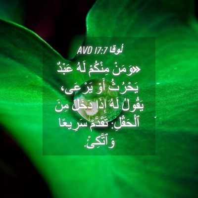 Picture 04 - لُوقا 17:7 AVD - «وَمَنْ مِنْكُمْ لَهُ - Bible Verse Picture