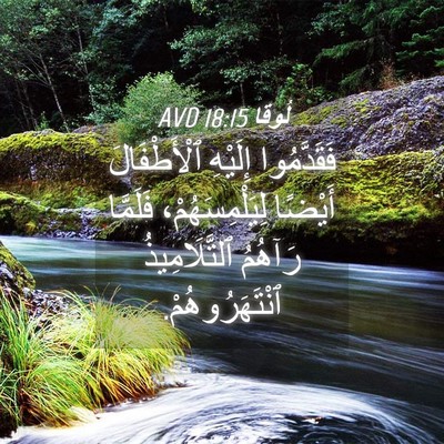 Picture 04 - لُوقا 18:15 AVD - فَقَدَّمُوا إِلَيْهِ - Bible Verse Picture
