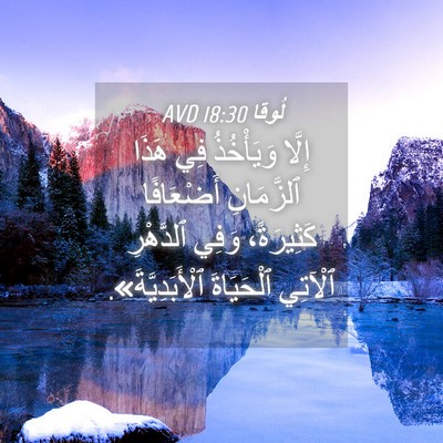 Picture 04 - لُوقا 18:30 AVD - إِلَّا وَيَأْخُذُ فِي - Bible Verse Picture