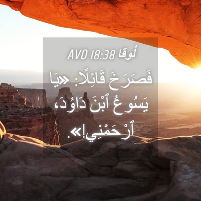 Picture 04 - لُوقا 18:38 AVD - فَصَرَخَ قَائِلًا: «يَا - Bible Verse Picture