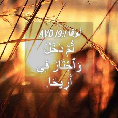 Picture 04 - لُوقا 19:1 AVD - ثُمَّ دَخَلَ وَٱجْتَازَ - Bible Verse Picture