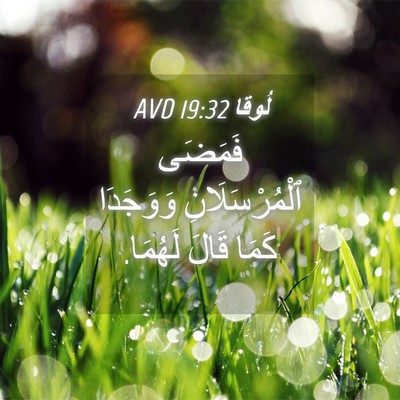 Picture 04 - لُوقا 19:32 AVD - فَمَضَى ٱلْمُرْسَلَانِ - Bible Verse Picture