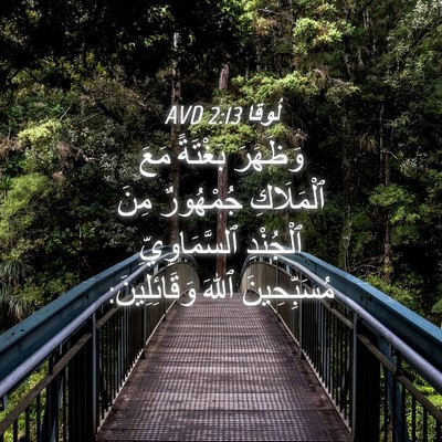 Picture 04 - لُوقا 2:13 AVD - وَظَهَرَ بَغْتَةً مَعَ - Bible Verse Picture