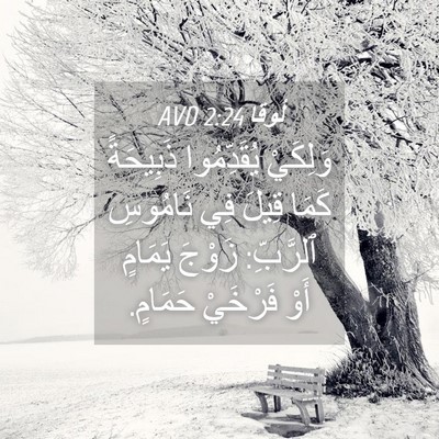 Picture 04 - لُوقا 2:24 AVD - وَلِكَيْ يُقَدِّمُوا - Bible Verse Picture