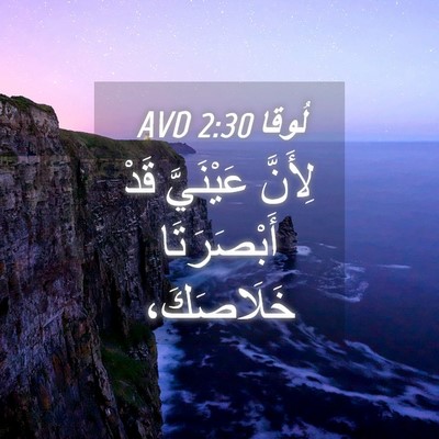 Picture 04 - لُوقا 2:30 AVD - لِأَنَّ عَيْنَيَّ قَدْ - Bible Verse Picture