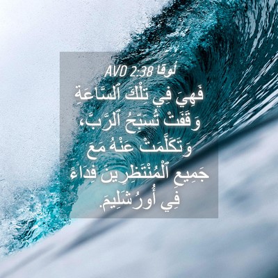 Picture 04 - لُوقا 2:38 AVD - فَهِيَ فِي تِلْكَ - Bible Verse Picture