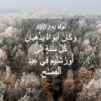 Picture 04 - لُوقا 2:41 AVD - وَكَانَ أَبَوَاهُ - Bible Verse Picture