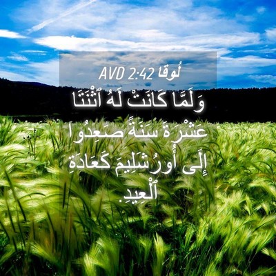 Picture 04 - لُوقا 2:42 AVD - وَلَمَّا كَانَتْ لَهُ - Bible Verse Picture