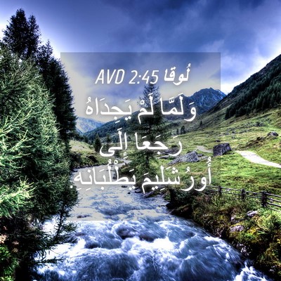 Picture 04 - لُوقا 2:45 AVD - وَلَمَّا لَمْ يَجِدَاهُ - Bible Verse Picture