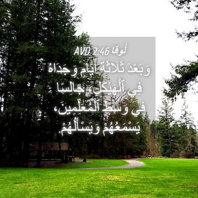 Picture 04 - لُوقا 2:46 AVD - وَبَعْدَ ثَلَاثَةِ - Bible Verse Picture