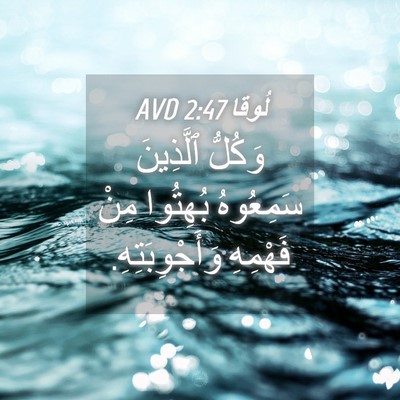Picture 04 - لُوقا 2:47 AVD - وَكُلُّ ٱلَّذِينَ - Bible Verse Picture