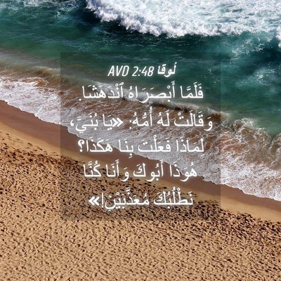 Picture 04 - لُوقا 2:48 AVD - فَلَمَّا أَبْصَرَاهُ - Bible Verse Picture