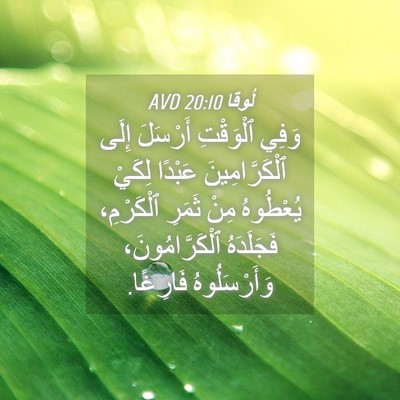Picture 04 - لُوقا 20:10 AVD - وَفِي ٱلْوَقْتِ أَرْسَلَ - Bible Verse Picture