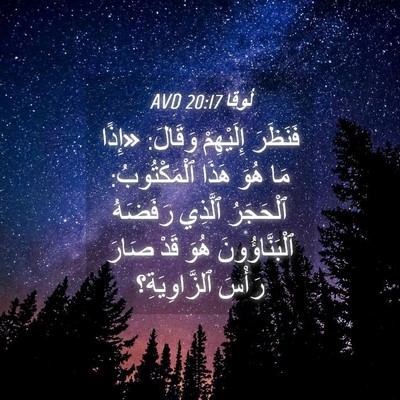 Picture 04 - لُوقا 20:17 AVD - فَنَظَرَ إِلَيْهِمْ - Bible Verse Picture