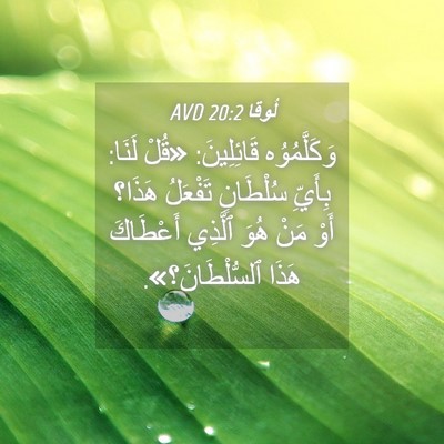 Picture 04 - لُوقا 20:2 AVD - وَكَلَّمُوُه قَائِلِينَ: - Bible Verse Picture