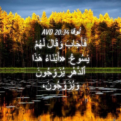 Picture 04 - لُوقا 20:34 AVD - فَأَجَابَ وَقَالَ لَهُمْ - Bible Verse Picture