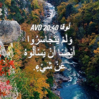 Picture 04 - لُوقا 20:40 AVD - وَلَمْ يَتَجَاسَرُوا - Bible Verse Picture