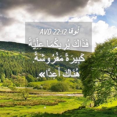 Picture 04 - لُوقا 22:12 AVD - فَذَاكَ يُرِيكُمَا - Bible Verse Picture